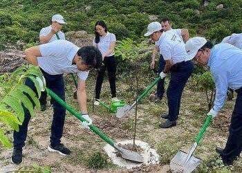 Ninh Thuận trồng mới hơn 1.120 ha rừng thay thế