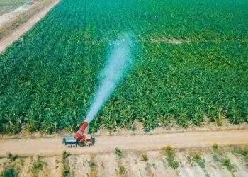 Nợ hơn 28 ngàn tỷ, THACO AGRI của Trường Hải tiếp tục lỗ nặng năm 2022