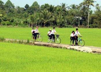 Nông thôn mới phải thực sự là nơi đáng sống, đáng để quay về