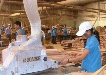 PTB lãi trước thuế 124 tỷ đồng trong quý 2, giảm 36%