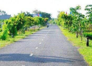 Ra mắt mô hình “Tuyến đường không rác thải, sáng, xanh, sạch, đẹp”