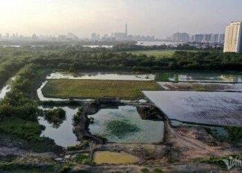 TP.HCM đề xuất chuyển mục đích hơn 24ha đất trồng lúa tại dự án nhà ở xã hội