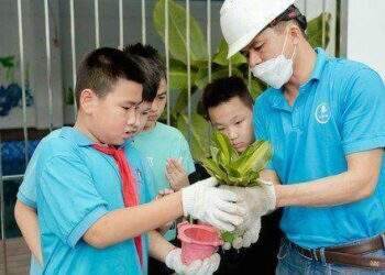 Tái chế vỏ hộp sữa, ươm mầm sống xanh
