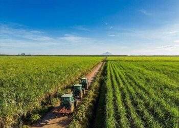 Thêm 100 triệu USD vốn ngoại được rót vào TTC AgriS