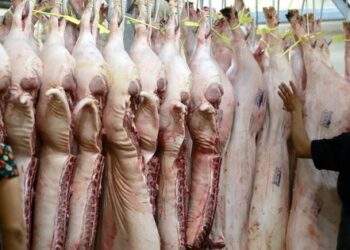 'Thịt lợn cứ luộc, kho tàu thì làm sao xuất khẩu được'