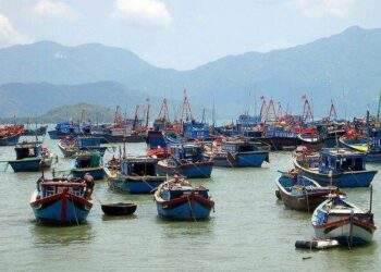 Thủy sản Bạc Liêu có lãi sau 5 quý lỗ liên tiếp