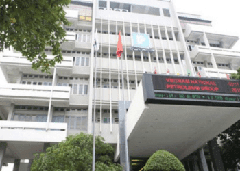 Tin học Viễn thông Petrolimex sắp trả cổ tức 20% năm 2022 bằng tiền