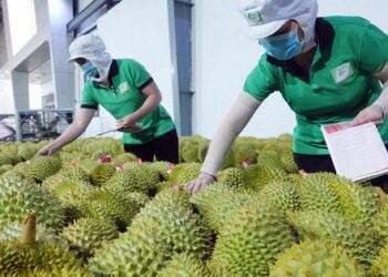 Tổng kim ngạch xuất, nhập khẩu 6 tháng đầu năm giảm 15,2% so với cùng kỳ 2022