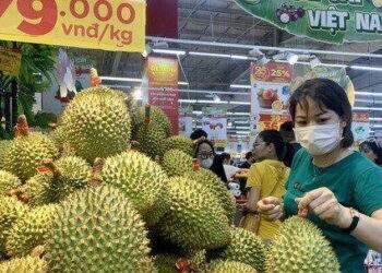 Trái cây ùn ùn xuất sang Trung Quốc, sầu riêng cầm chắc 1,5 tỉ USD