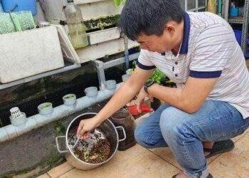 Từ bị báo phường đến thành nơi tiêu thụ rác cho hàng xóm