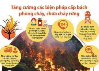 Tương Dương:Tăng cường các biện pháp cấp bách phòng cháy chữa cháy