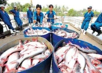 VHC sẽ nâng vốn lên 2,224 tỷ thông qua chia cổ tức lẫn phát hành ESOP
