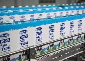 VNM chốt quyền chia cổ tức bằng tiền, tỷ lệ 24.5%