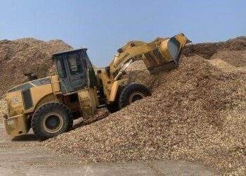 Vì sao Nhật Bản tăng nhập khẩu dăm gỗ, viên nén từ Việt Nam?
