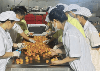 Việt Nam xuất siêu hơn 12 tỉ USD trong 6 tháng đầu năm
