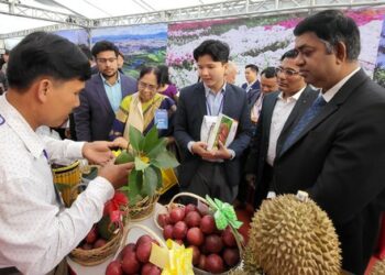 Ấn Độ cung cấp một thị trường khổng lồ cho Việt Nam