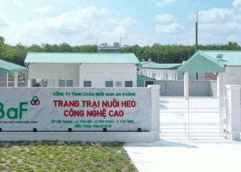 BAF góp vốn lập công ty con sản xuất chế phẩm sinh học vốn 20 tỷ