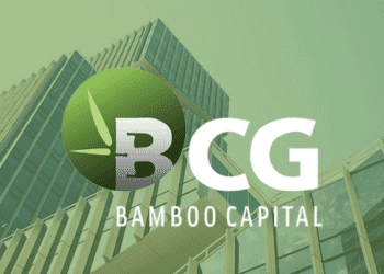 BCG lên tiếng về việc công an có mặt tại văn phòng BCG Land
