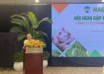 Bầu Đức: Nói HAGL nuôi heo lỗ là hoàn toàn không đúng