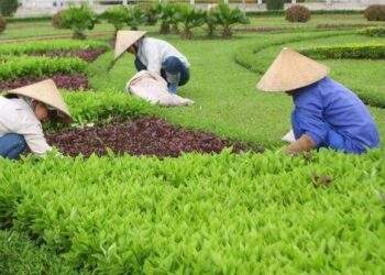 Cần có đơn giá định mức hợp lý hơn đối với DN dịch vụ công ích
