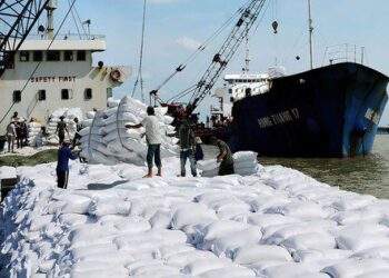 Chủ động ứng phó El Nino để tăng xuất khẩu gạo