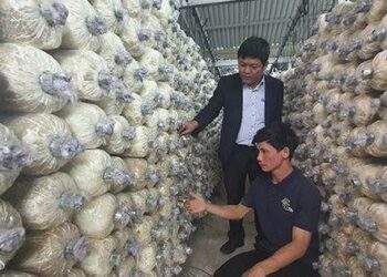 Có vốn ưu đãi tiếp sức
