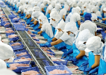 Doanh thu tháng 7 của Vĩnh Hoàn giảm 28% so cùng kỳ