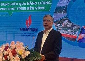 Giá điện thấp không khuyến khích được sử dụng điện tiết kiệm, hiệu quả