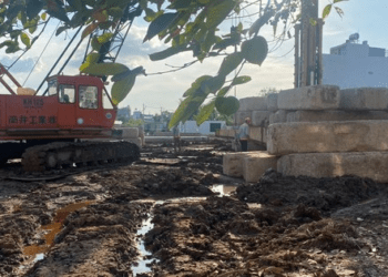 HĐND TP HCM bắt đầu giám sát các dự án nhà ở xã hội
