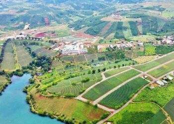 Lâm Đồng đề xuất thu hồi 12 dự án được gia hạn tiến độ nhưng không nộp tiền