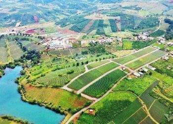 Lâm Đồng giao dịch hơn 1.400 đất nền, 3 căn chung cư