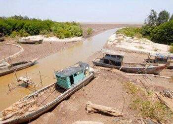 Miền Tây lo lũ thấp, xâm nhập mặn tấn công vựa lúa