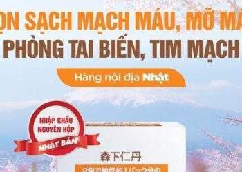 Nattokinase Jintan Nhật Bản sự lựa chọn đáng tin cậy cho người mỡ máu, tai biến