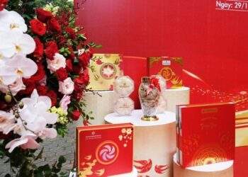 Ông chủ Nest Art làm dự án khách sạn cao cấp quốc tế 17 ha ở hồ Tuyền Lâm