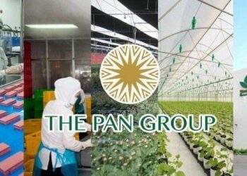 PAN báo lãi ròng 6 tháng đầu năm 2023 đạt 105 tỷ đồng