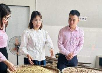 Tạo sinh kế, mở đường cho nông dân Quảng Nam trên hành trình thoát nghèo bền vững
