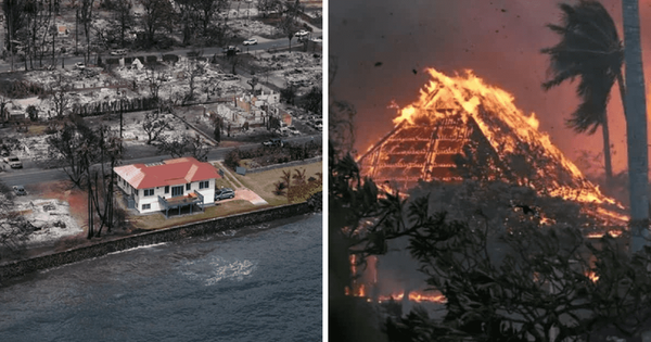 Sống sót giữa bão lửa trong thảm họa cháy rừng tại Hawaii, ngôi nhà trị giá 95 tỷ vẫn nguyên vẹn thần kỳ