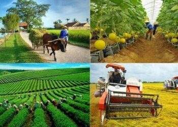Bảo vệ môi trường gắn với phát triển du lịch nông nghiệp