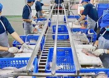 Cắt giảm, đơn giản hóa thủ tục hành chính thuộc lĩnh vực nông nghiệp