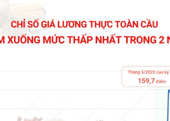 Chỉ số giá lương thực toàn cầu giảm xuống mức thấp nhất trong 2 năm