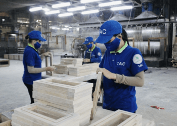 Doanh nghiệp gỗ đầu tiên ước lãi 9 tháng, giảm một nửa so với cùng kỳ