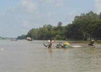 Mực nước lũ miền Tây thấp hơn bình thường trên 1m