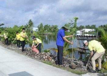 Phân bón Cà Mau nhộn nhịp ra quân trồng 28.000 cây phủ xanh tại Cà Mau