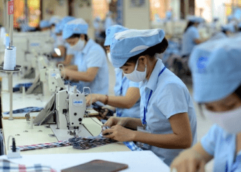 TCM ước lãi sau thuế tháng 8 giảm 43%