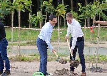 Tập đoàn LEGO trồng 50.000 cây xanh, xúc tiến tuyển 100 nhân sự vào cuối năm nay