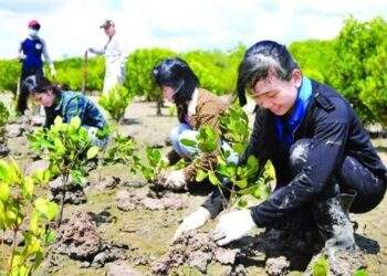 Tiêu điểm chính sách Tài nguyên và Môi trường tháng 7-8/2023