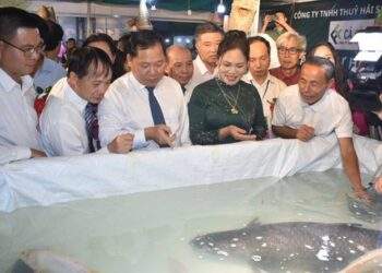 2 con cá nuôi ở lòng hồ Hòa Bình được bán đấu giá 115 triệu đồng