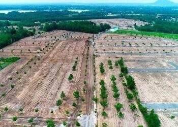Cần làm gì trước các dự án bất động sản đáng ngờ?