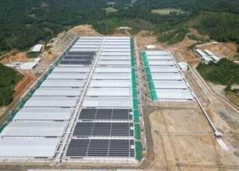Dân bức xúc vì trang trại nuôi lợn công nghệ cao ô nhiễm, bốc mùi hôi thối