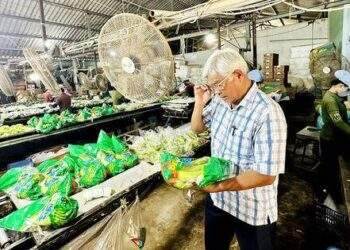 Những doanh nghiệp 'biến rác thành vàng'